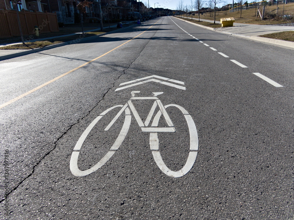 Obraz premium Bike lanes for safe rides