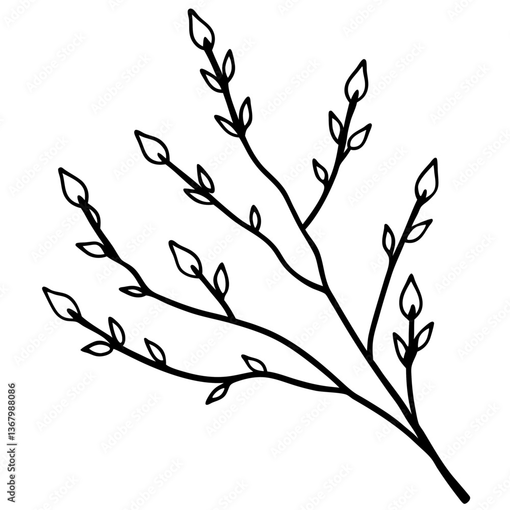 Fototapeta premium Line art vector silhouette of a tree branch with fresh spring buds