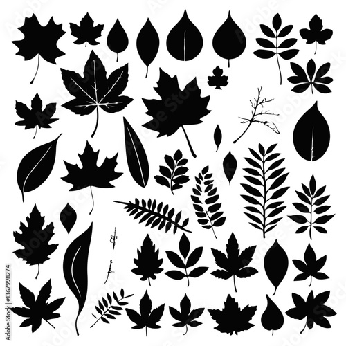 A black and white vector silhouette of a collection of autumn leaves, including maple, oak, and birch, on a white background