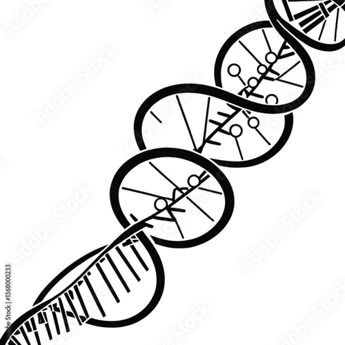 らせん状DNA分子図｜Spiral DNA Molecule Illustration