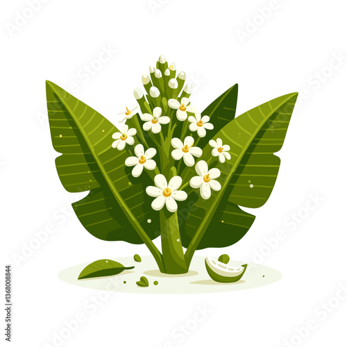 Vector illustration of plantain with blooming white flowers and green leaves. Perfect for herbal medicine resources, botanical guides, and natural remedy content.