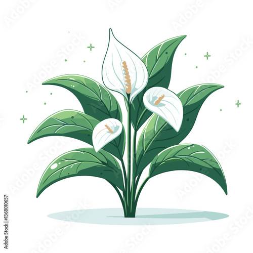 Vector illustration of peace lily plant with white flowers and green leaves. Ideal for houseplant guides, interior decoration resources, and air purification articles.