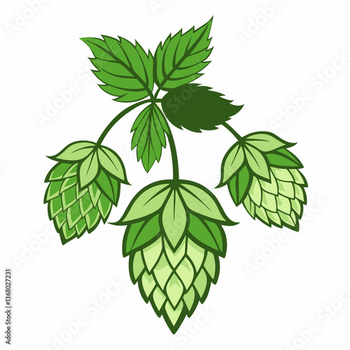 Hop shoots isolated of a white