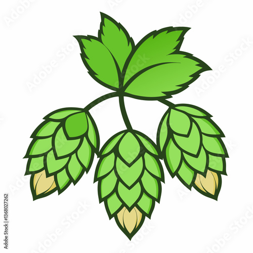 Hop shoots isolated of a white