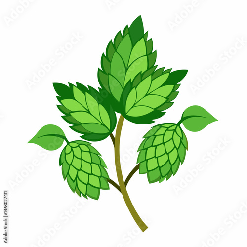 Hop shoots isolated of a white