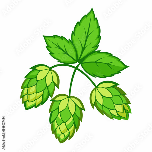 Hop shoots isolated of a white