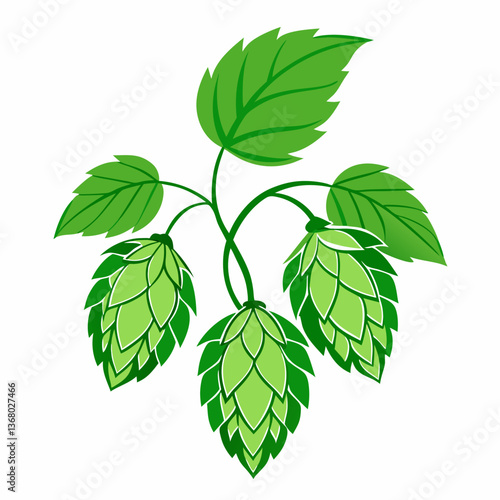 Hop shoots isolated of a white