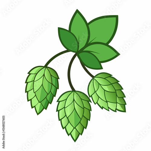 Hop shoots isolated of a white