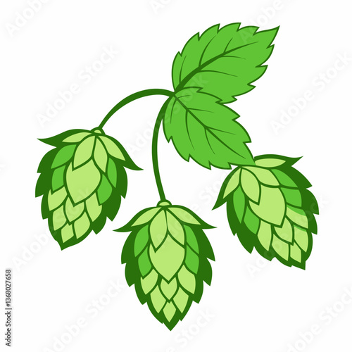 Hop shoots isolated of a white