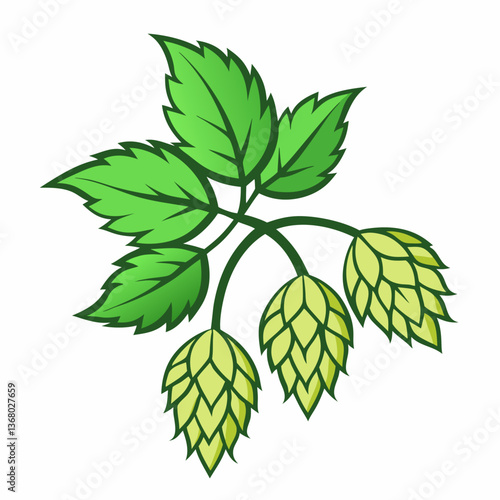 Hop shoots isolated of a white