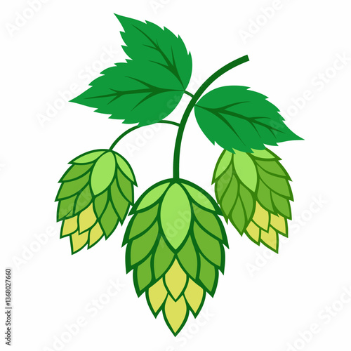 Hop shoots isolated of a white