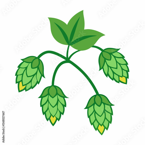 Hop shoots isolated of a white
