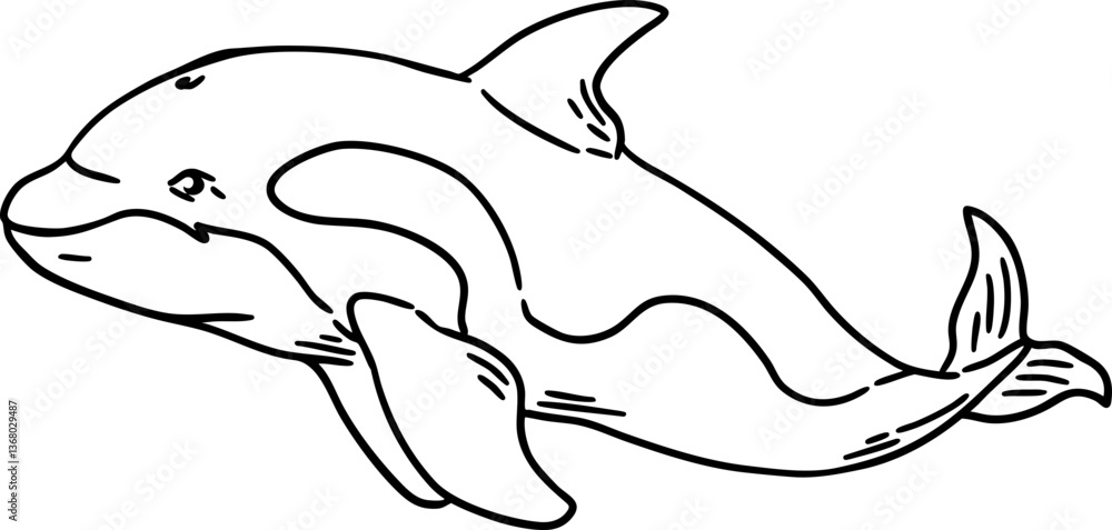 Obraz premium sketch orca whale