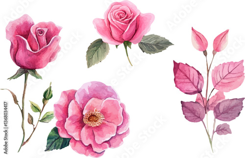 Wallpaper Mural Modern Watercolor Pink Rose Torontodigital.ca