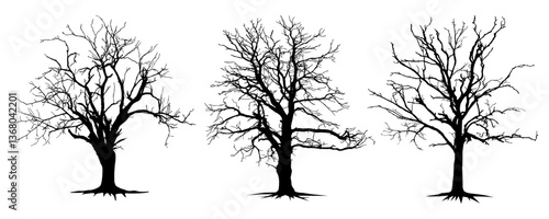 Set Black Branch Tree or Naked trees and roots silhouettes. Hand drawn isolated illustrations.