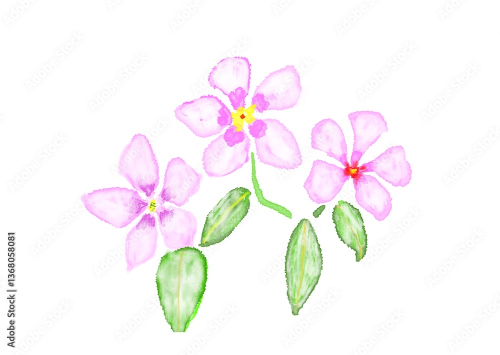 Fototapeta premium ピンクの花
