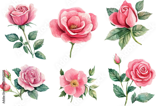 Romantic Watercolor Pink Rose Flower Art Clipart