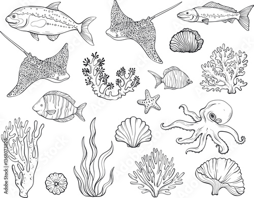 A seamless vector illustration with outlines underwater set with tropical fish, coral reefs, seaweed, and marine flora