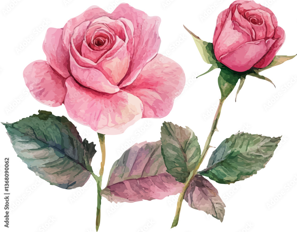 Fototapeta premium bouquet of pink roses