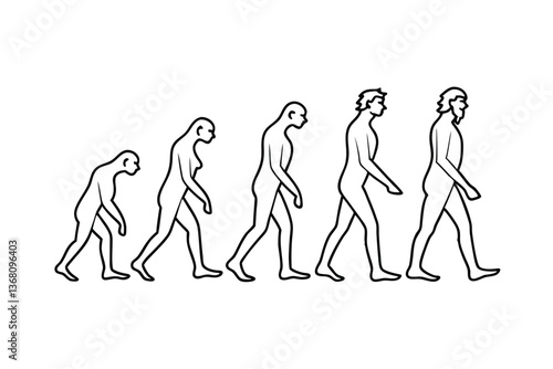 Human Evolution Primate to Modern Man Progression Stages