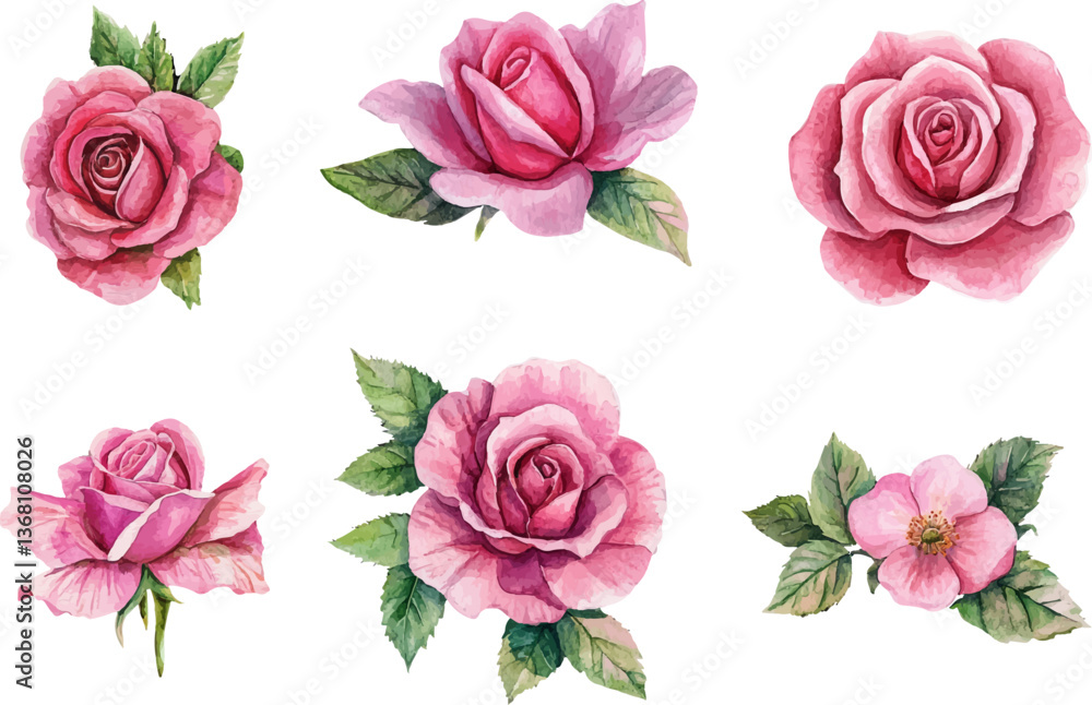 Naklejka premium Modern Watercolor Pink Rose