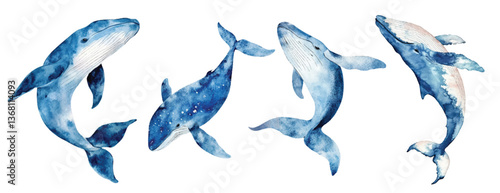 Blue whale watercolor vector illustration set, underwater ocean animal art isolated on white background