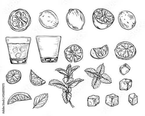 Citrus slices, cold drink with ice, drinking glass, ice cubes and mint branch set vector illustration painted by black inks. Monochrome lemon, orange or lime pieces clip art. For beverage packaging