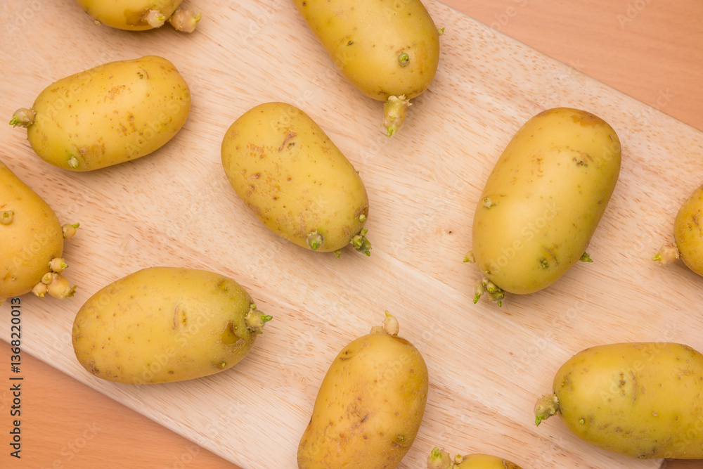 Fresh yellow potatoes with visible green sprouts
