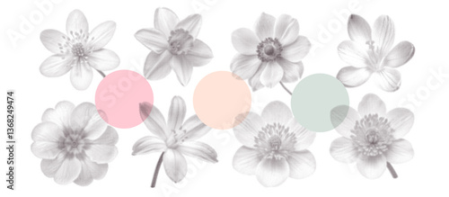 Vintage spring flowers set. Collage flowerheads in top view with a minimalism aesthetic. Retro bitmap scrapbooking style with dotted element. Trendy stickers with photocopy effect.