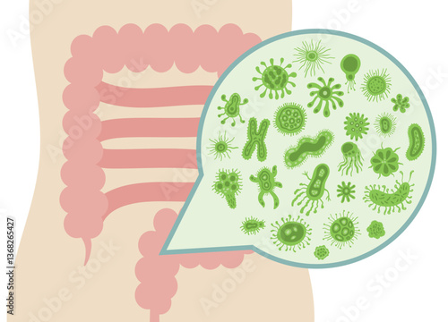 A vector illustration of various cute and friendly bacteria inside the human intestine, representing the gut microbiome
