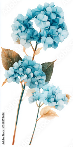 bouquet of blue flowers