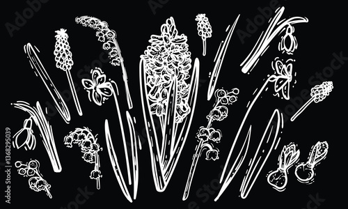 Black and white line art spring flowers. Hand drawn hyacinth, snowdrop, narcissus illustration. Doodle of flowers in a monochrome banner design. Ready to be used in print and online projects. 