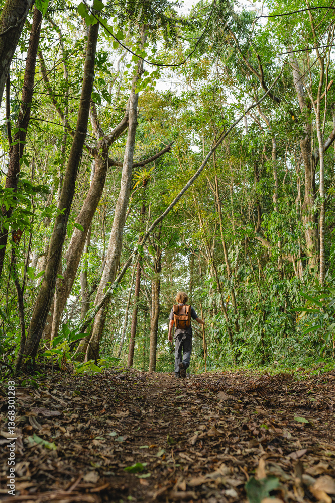 Lone hiker walking through lush tropical forest trail in Costa Rica Lone hiker walking through lush tropical forest trail in Costa Rica