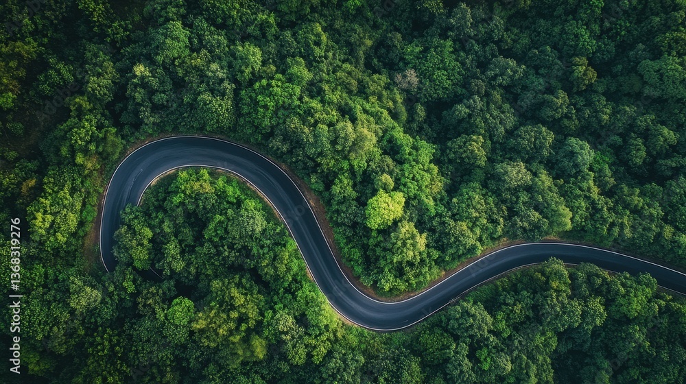 A bird's eye view of a winding mountain road snaking through a verdant forest, offering a peaceful and serene landscape A bird's eye view of a winding mountain road snaking through a verdant forest, offering a peaceful and serene landscape