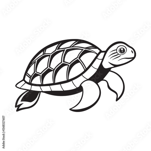 turtle vector illustration