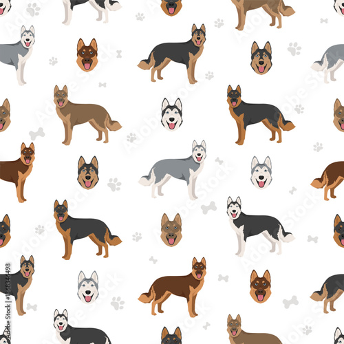 Gerberian Shepsky clipart. German Shepherd Siberian Husky mix. Different coat colors set