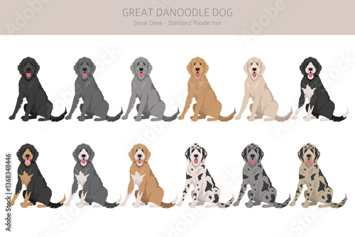 Great Danoodle clipart. Great Dane Poodle mix. Different coat colors set.  Vector illustration