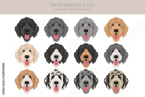 Great Danoodle clipart. Great Dane Poodle mix. Different coat colors set.  Vector illustration