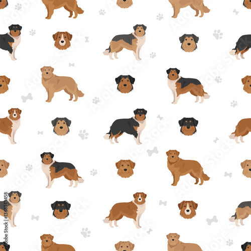 Labollie dog mix clipart. Labrador Retriever - Rough Collie mix. All possible coat colors, breed information, adults and puppies.  Vector illustration