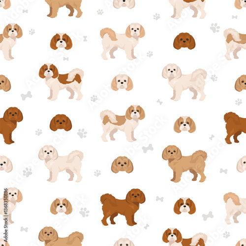 Maltalier, Cavamalt clipart. Maltese _ Cavalier king Charles Spaniel mix. Different coat colors set.  Vector illustration