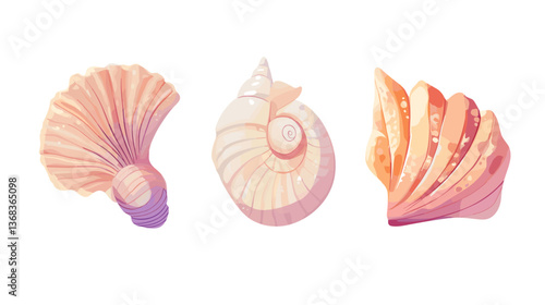 Set of modern style illustrations of various sea shells showcasing their unique shapes and colors