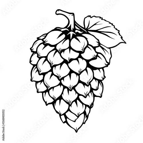 Detailed Line Art Illustration Of A Single Hop Cone