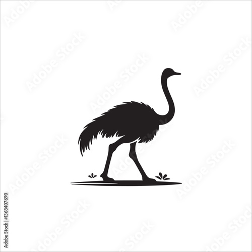 ostrich silhouette isolated on white