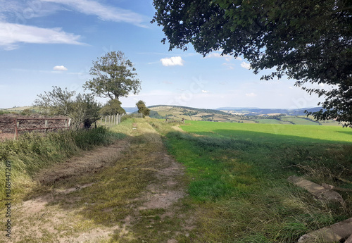 Offas Dyke