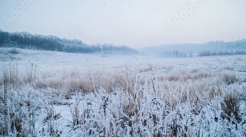 Wallpaper Mural Exploring the Beauty of a Snow-Covered Field of Tall Grass in Winter's Embrace Torontodigital.ca