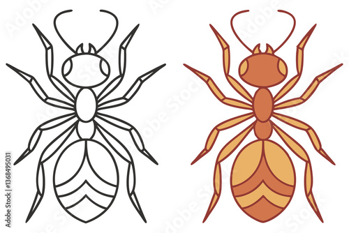 Ant Line Art and Colorful Version on White Background, Insect Illustration, Isolated