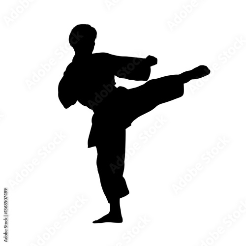 silhouette of a man practicing karate - vector illustration