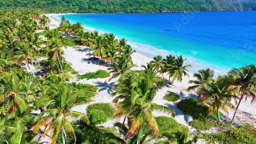 Summer tropical paradise beach with white sand, coconut trees, sea and blue sky. Outdoor travel background. Summer vacation concept. Caribbean island Samana, Dominican Republic.