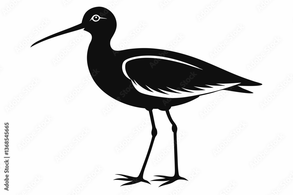 Obraz premium Willet black silhouette vector