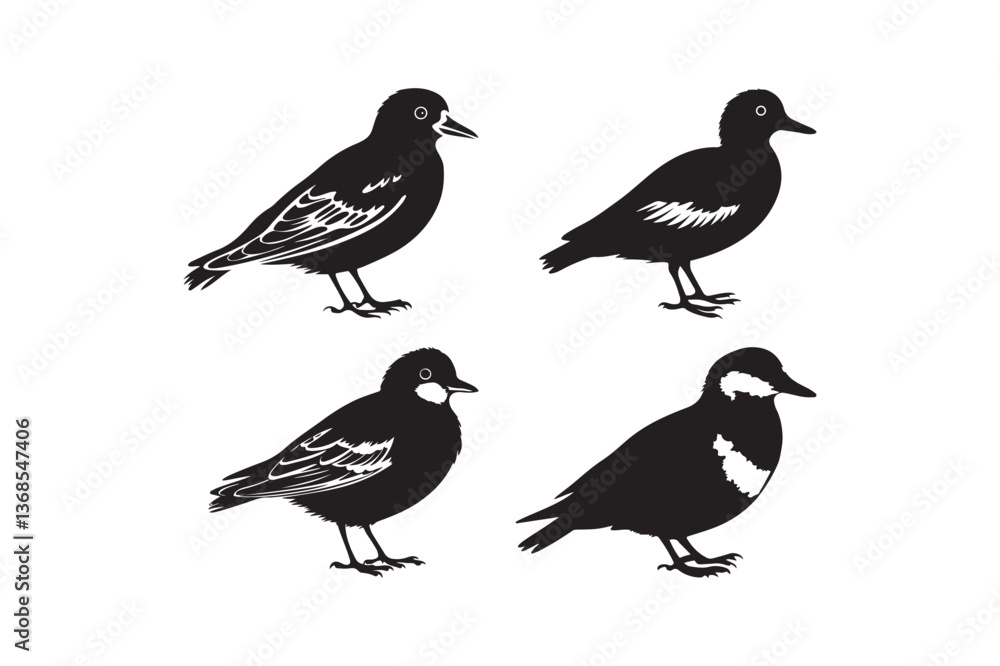 Fototapeta premium Black and White Bird Silhouette Vector Illustration Nature Wildlife Art